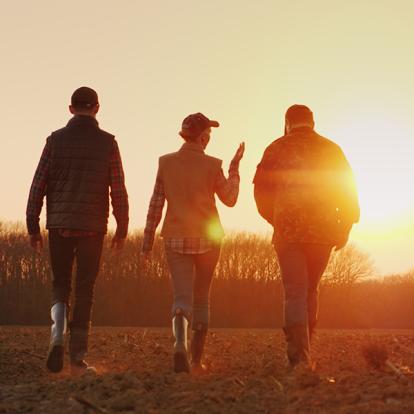 a group of people talking while walking out in a field as the sun sets