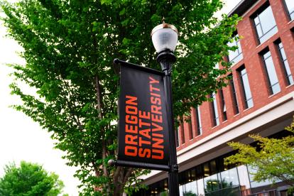 OSU banner in front of Austin Hall, College of Business